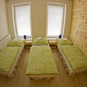 Apartmán, ubytovanie privát Vila Lesana, Vysoké Tatry, Nová Lesná, Podhorie