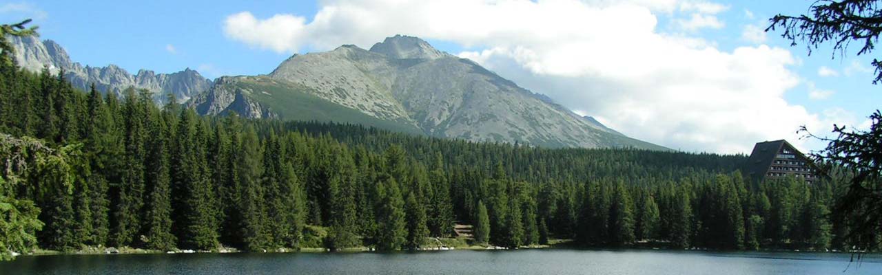 Ubytovanie v priváte Vila Lesana, Vysoké Tatry, Nová Lesná, Podhorie. Útulne ubytovanie v krásnom priváte priamo pod Tatrami.